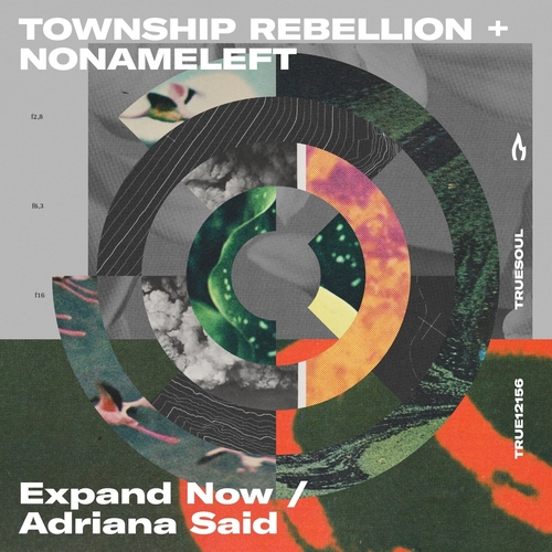 Township Rebellion & NoNameLeft - Expand Now - Adriana Said [TRUE12159B]